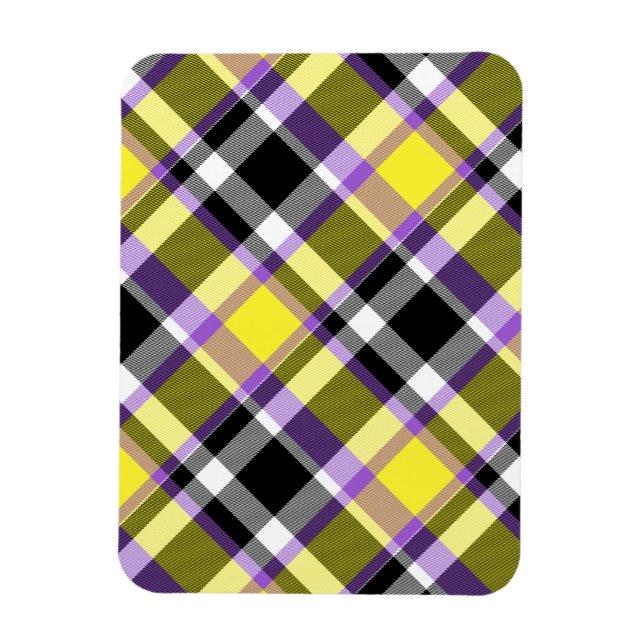 Särpräglad Eklektisk Boho Icke-binär Plaid Pride F Magnet (Vertikal)