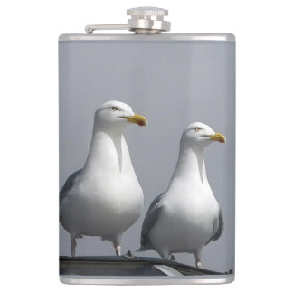 Särpräglat par måsar, herr och fru Gully, står sto Fickplunta
