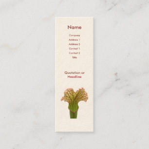 Sarracenia Pitcher Plant Mini Visitkort