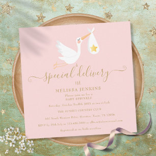 Särskild leverans stork Rosa Baby Shower Sprinkle Inbjudningar