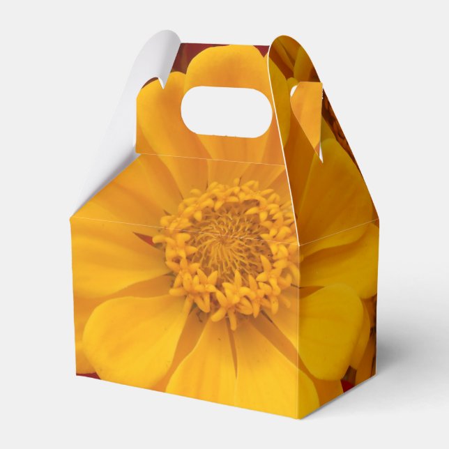 Sartain Presentaskar (Framsidan Sidan)