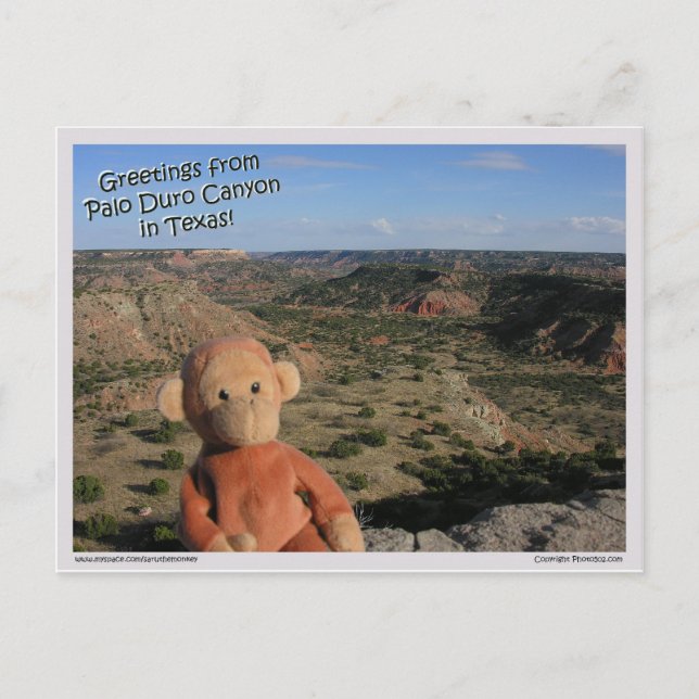 Saru #3 vykort (Framsida)