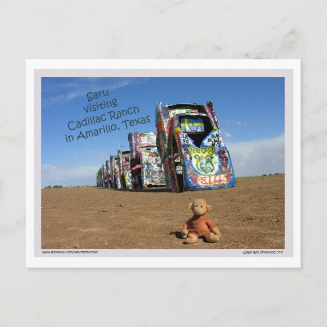 Saru vykort 1 (Framsida)