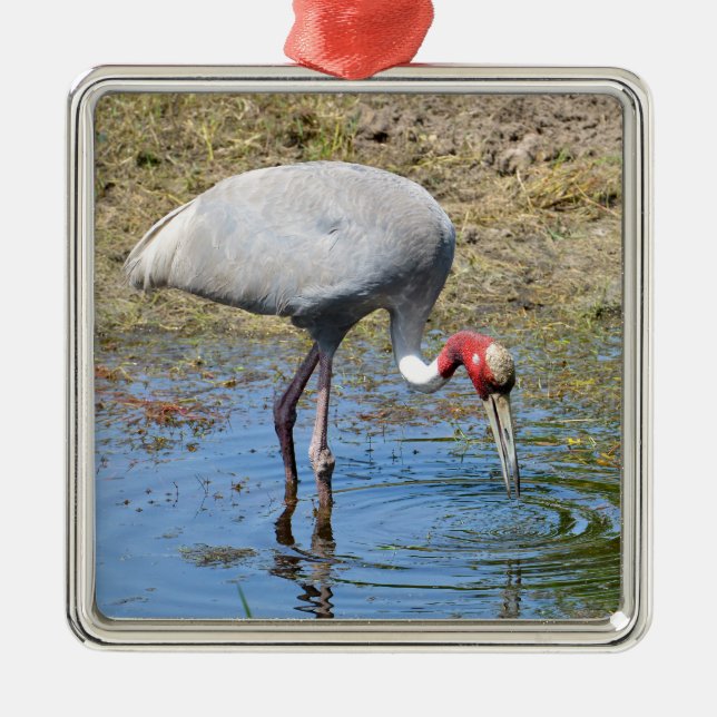Sarus crane i damm julgransprydnad metall (Framsidan)