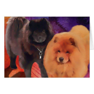 "SASHA- OCH CASEY-" Chows OBS Kort