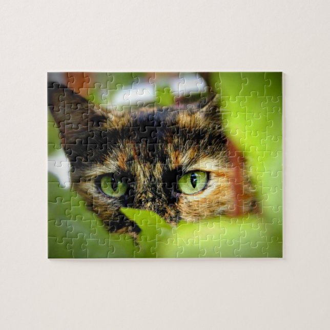 Sasha Pussel (Horisontell)