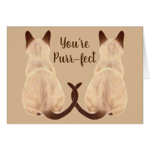 Sasha Siamese Cat Lover Back View Du är perfekt Hälsningskort