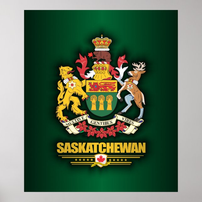 Saskatchewan COA Poster (Framsidan)