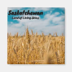 Saskatchewan vetefält magnet