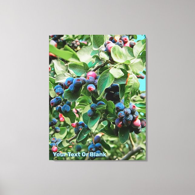 Saskatoon Canvastryck (Framsida)