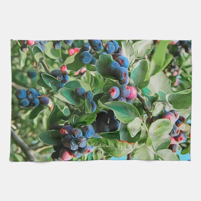 Saskatoon Kökshandduk (Horisontell)