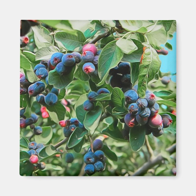 Saskatoon Magnet (Framsidan)