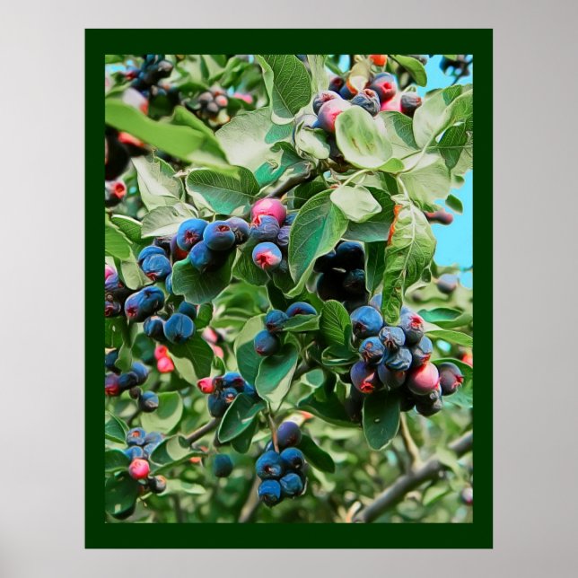 Saskatoon Poster (Framsidan)