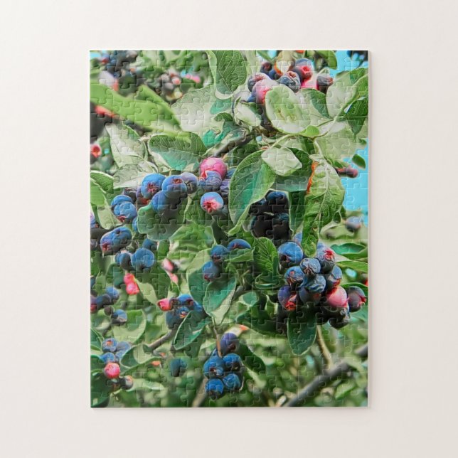 Saskatoon Pussel (Vertikal)