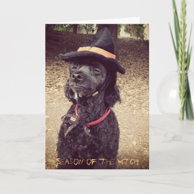 Säsong av häxan kort (Framsida)