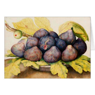 SÄSONG FRUKTER/PLÄTERAR MED FIGS OCH GRÖNTLÖV HÄLSNINGSKORT