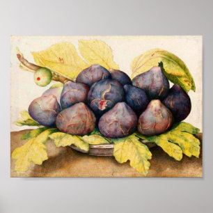 SÄSONG FRUKTER/PLÄTERAR MED FIGS OCH GRÖNTLÖV POSTER
