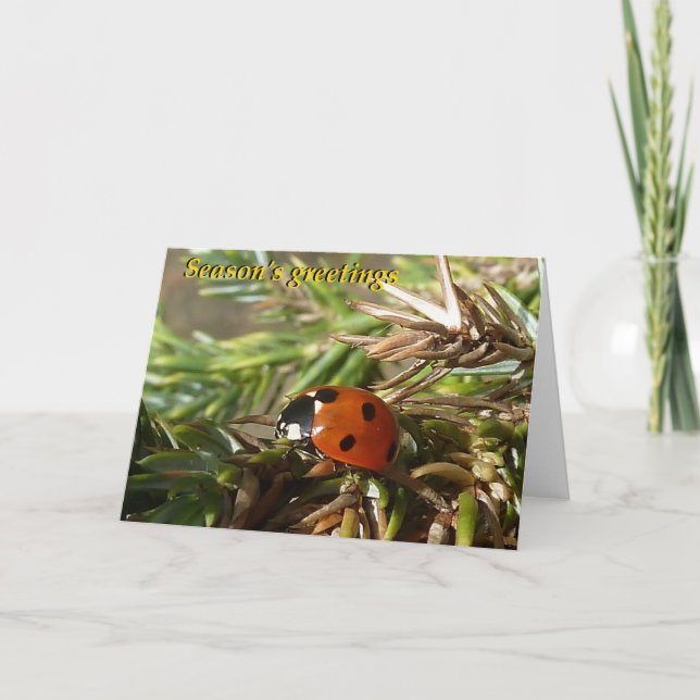 Säsong hälsningar helgkort (Framsida)