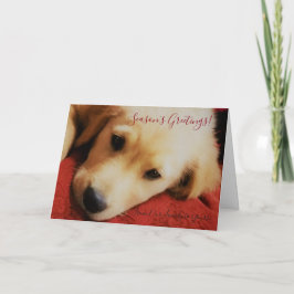 Säsong hälsningar Winston Julhälsningar kortet Helgkort