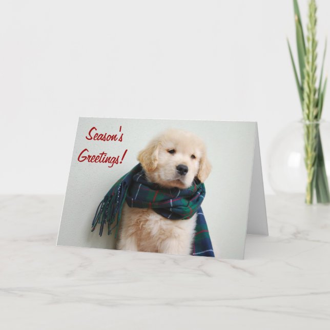 Säsong kort för hälsninghelgdag (Framsida)