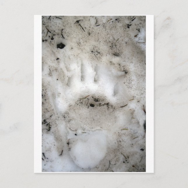 säsongens början vykort (Framsida)