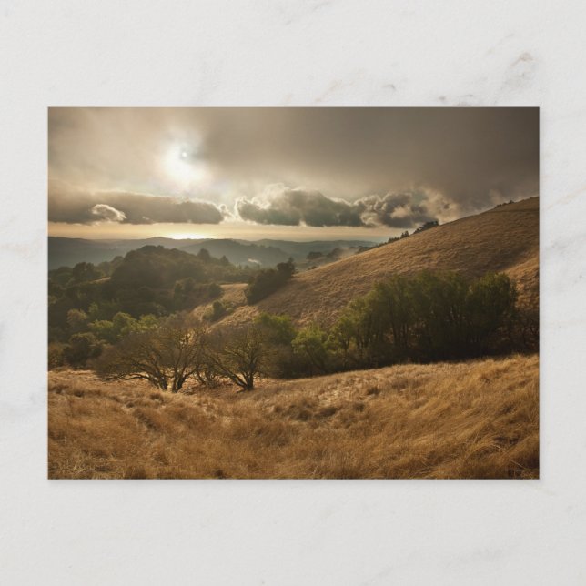 Säsongens första regn vykort (Framsida)