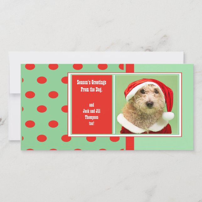 Säsongens hälsningar från Hund Cute Julkort (Framsida)