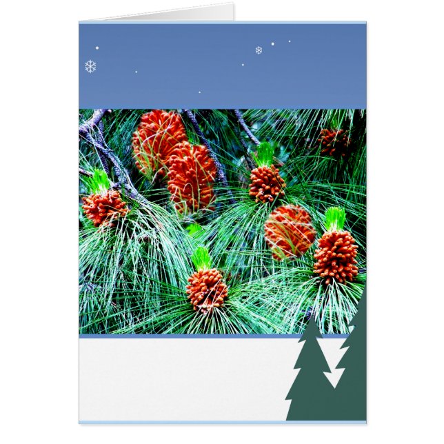 Säsongens hälsningar_ hälsningskort (Framsidan)