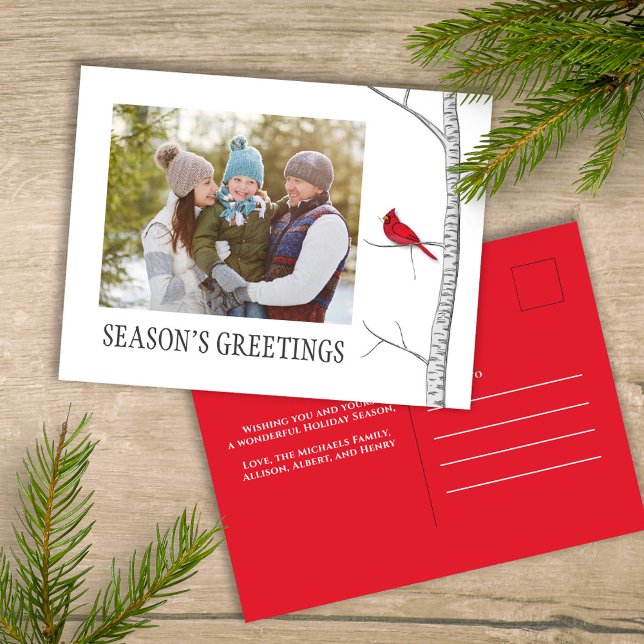 Säsongens hälsningar Helgdag Winter Red Cardinal Helg Vykort (Simple winter botanical red cardinal photo postcard with a minimalist design.)