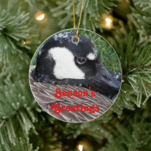 Säsongens hälsningar Kanada Goose Helgdag Julgransprydnad Keramik