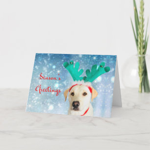 Säsongens hälsningar Pet Labrador Hund Cute Festiv Helgkort