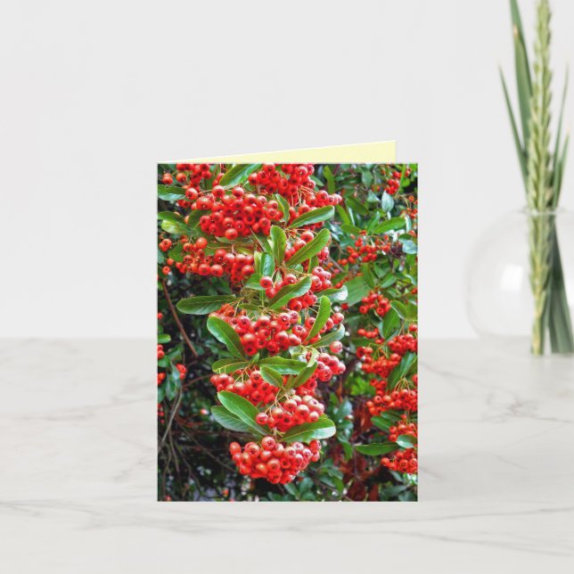 Säsongens hälsningar Rowan Berry/Träd - Y Helgkort (Framsida)