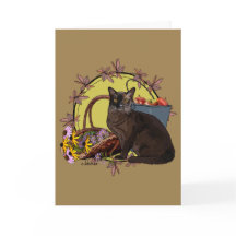 Säsongkatter - höstträdgård