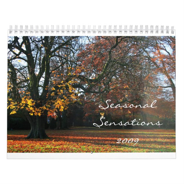 Säsongsbetonade förnimmelser 2009 kalender (Omslag)