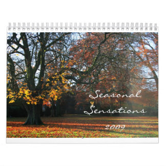 Säsongsbetonade förnimmelser 2009 kalender