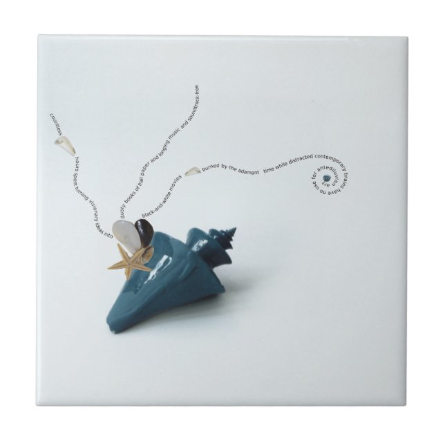 Säsongsbricka för blå elegant som badrum för stran kakelplatta (Framsidan)