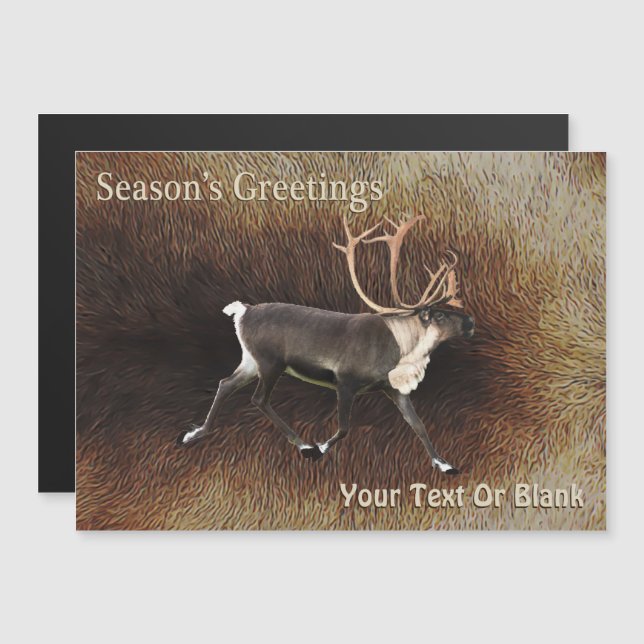 Säsongsfirmor - Bull Västindiou (Reindeer) (Fram/baksida)