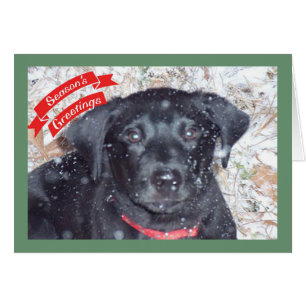 Säsongshälsningar - Labrador Puppy Hälsningskort