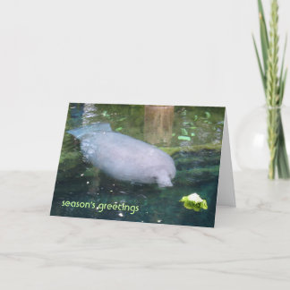 Säsongshälsningar - sallat helgkort