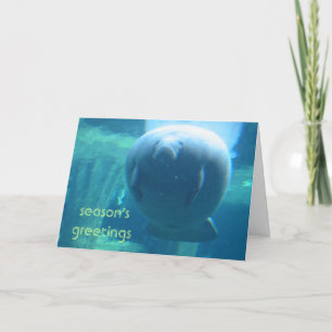 Säsongshälsningar - tjock manatee helgkort