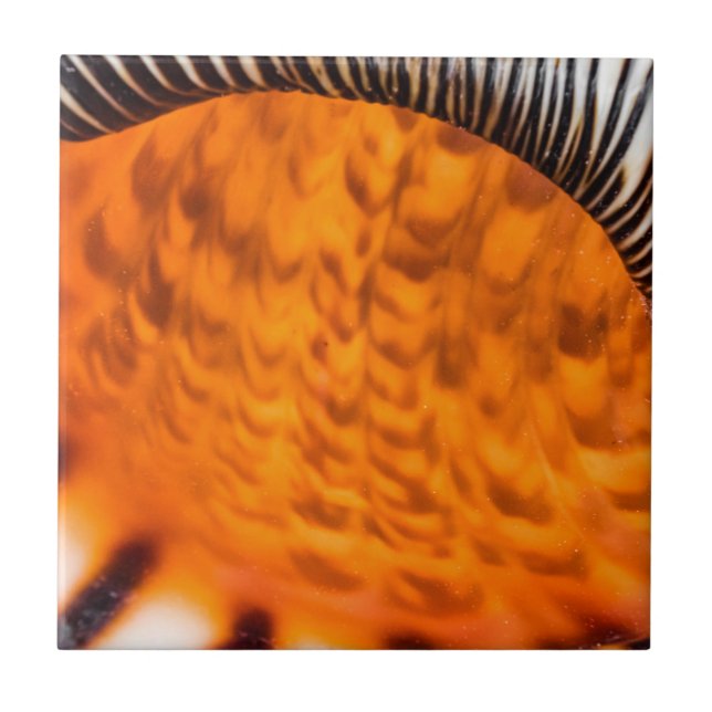 Säsongsmedelvärde Kakelplatta (Framsidan)