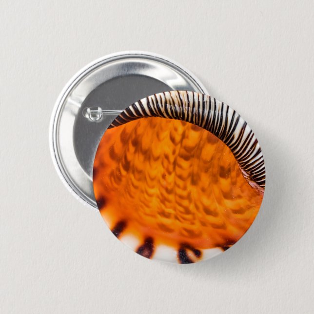 Säsongsmedelvärde Knapp (Framsida & baksida)