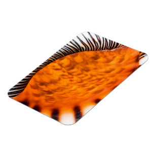 Säsongsmedelvärde Magnet
