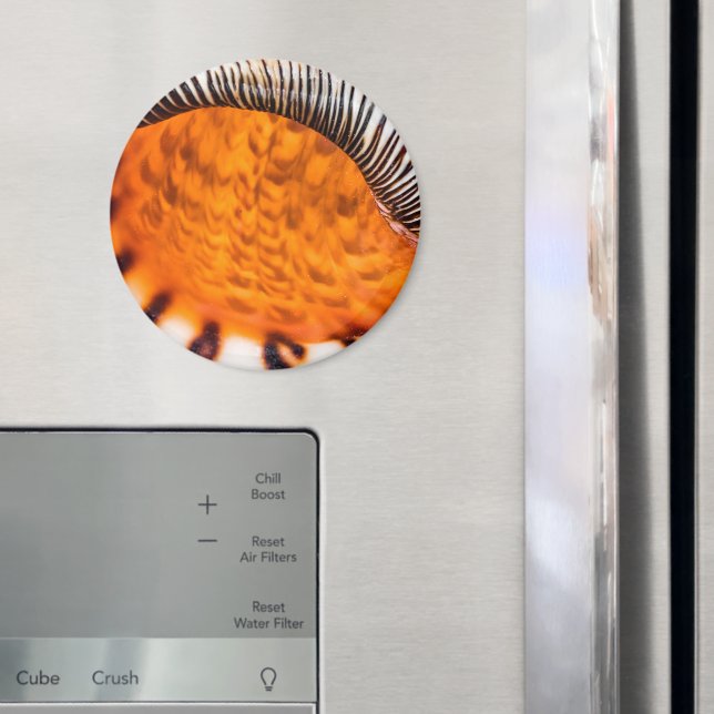 Säsongsmedelvärde Magnet (In Situ (Fridge))