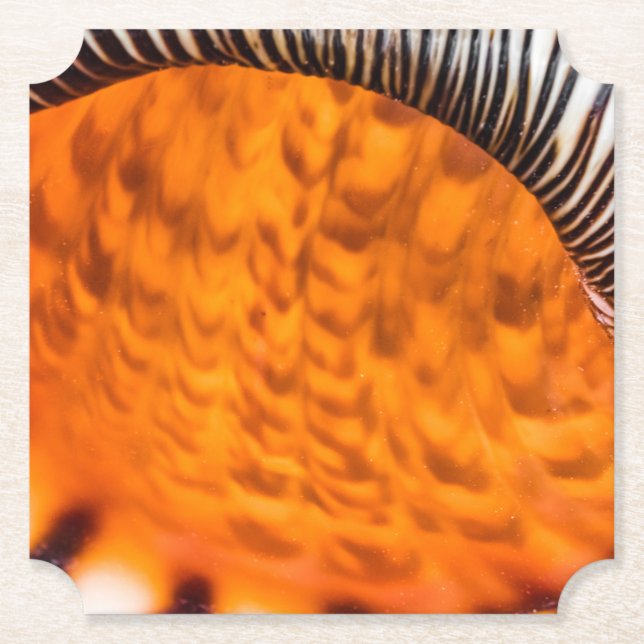 Säsongsmedelvärde Underlägg Papper (Framsida)