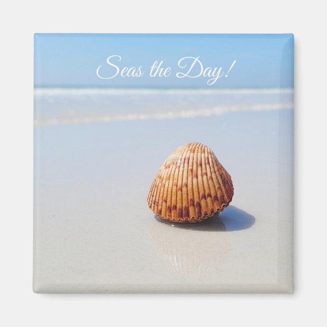 Säsongssäsongen på dagstranden magnet (Framsidan)