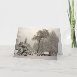 Säsonhälsningar för Vinter Wonderland Cards Helgkort