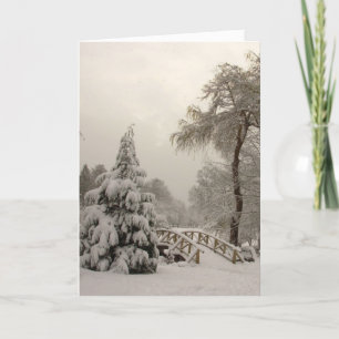 Säsonhälsningar för Vinter Wonderland Cards Helgkort