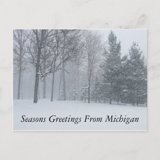 Säsonhälsningar från Michigan Winter Snö Postca Helg Vykort (Framsida)