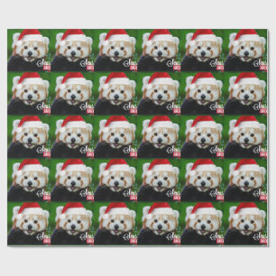 Säsonhälsningar från Red Panda Santa Presentpapper